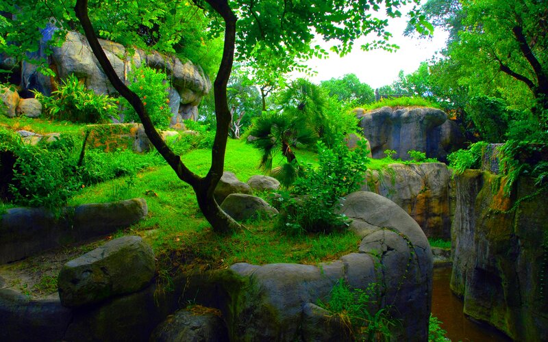 Rocky Garden with Trees
