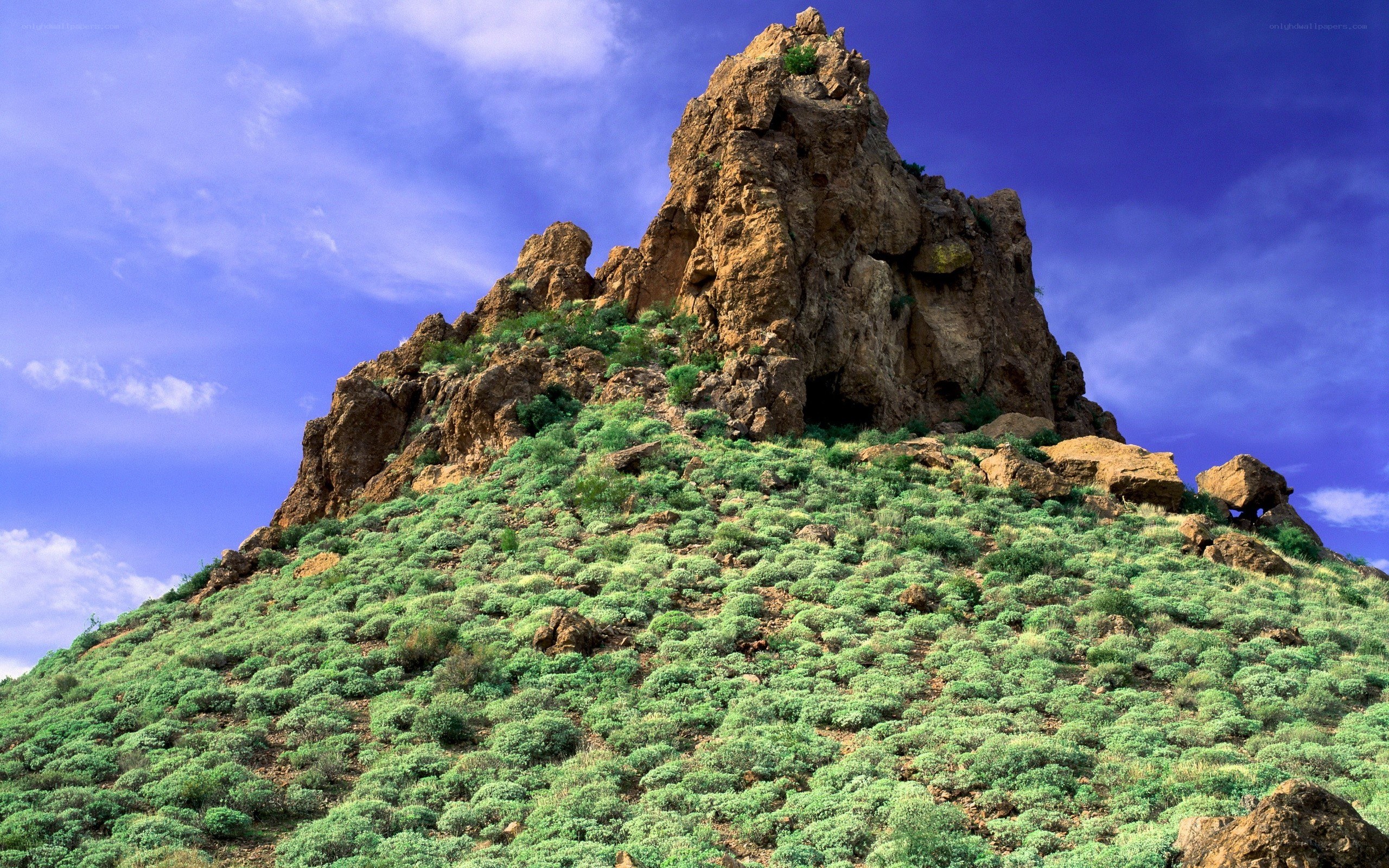 rocky hill with green shrubs