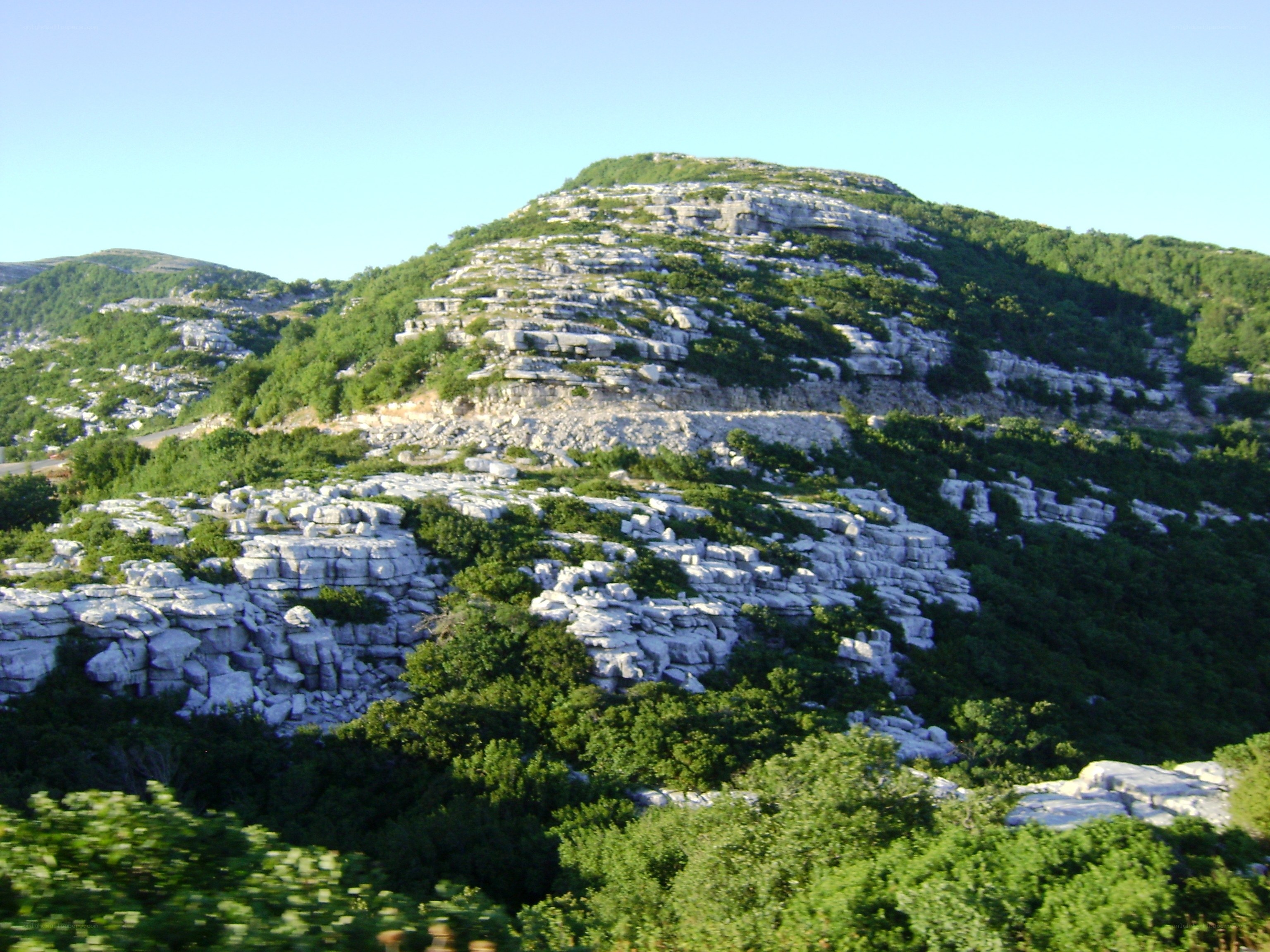 rocky hill with greenery