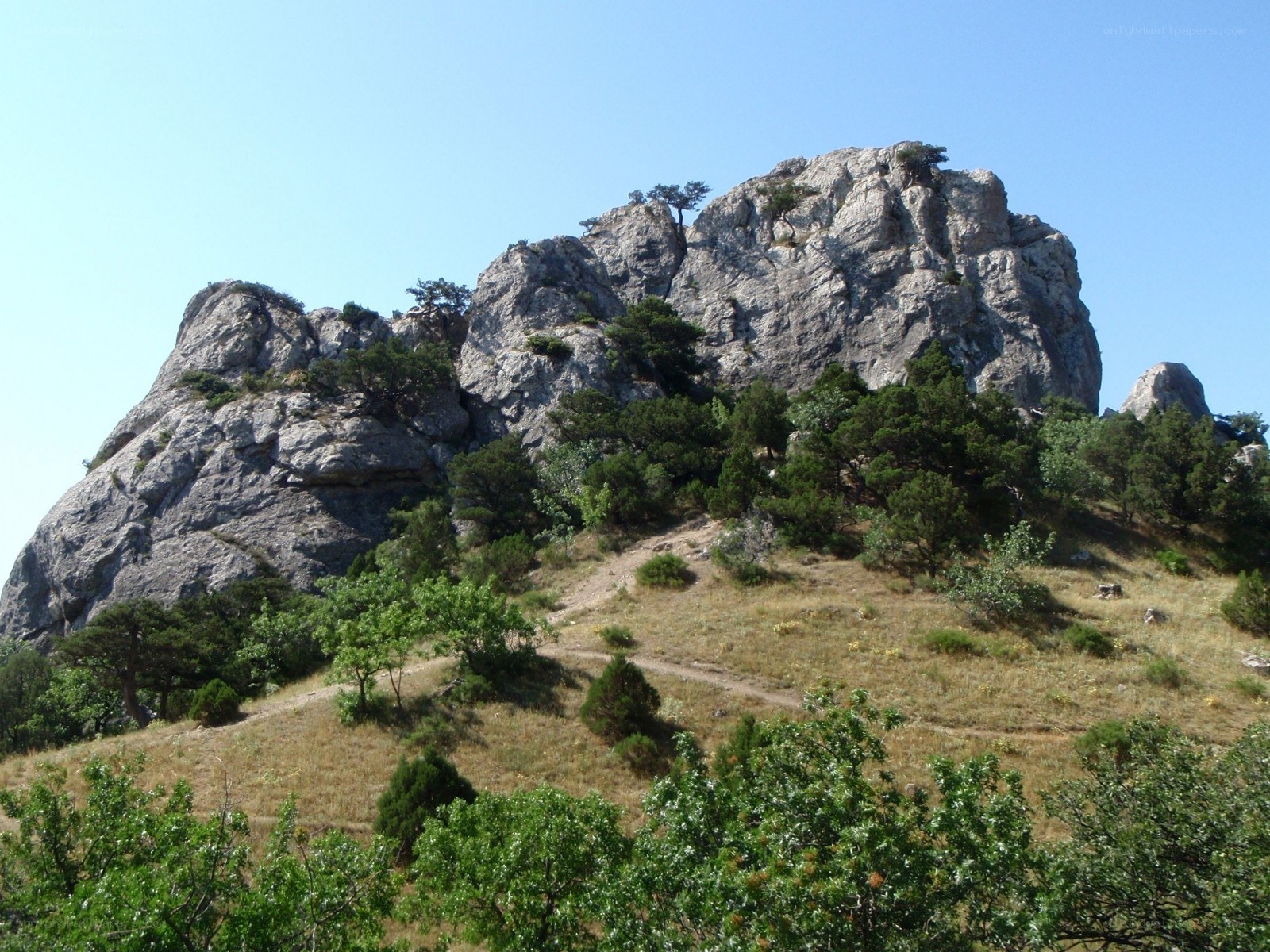 Rocky hill with trees