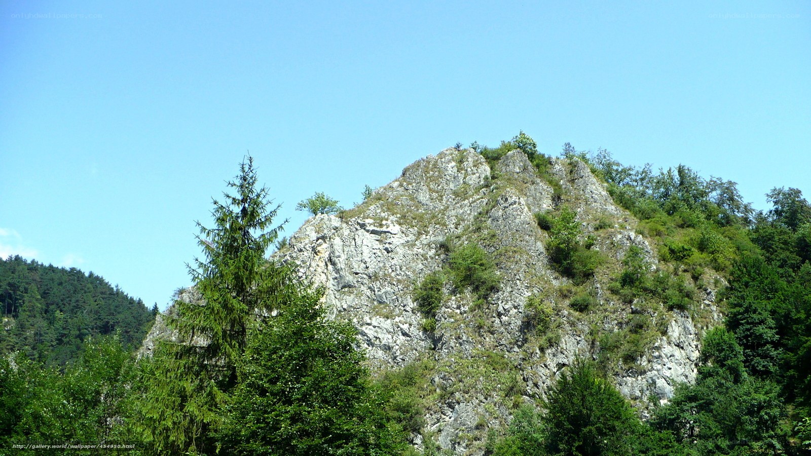 rocky hill with trees