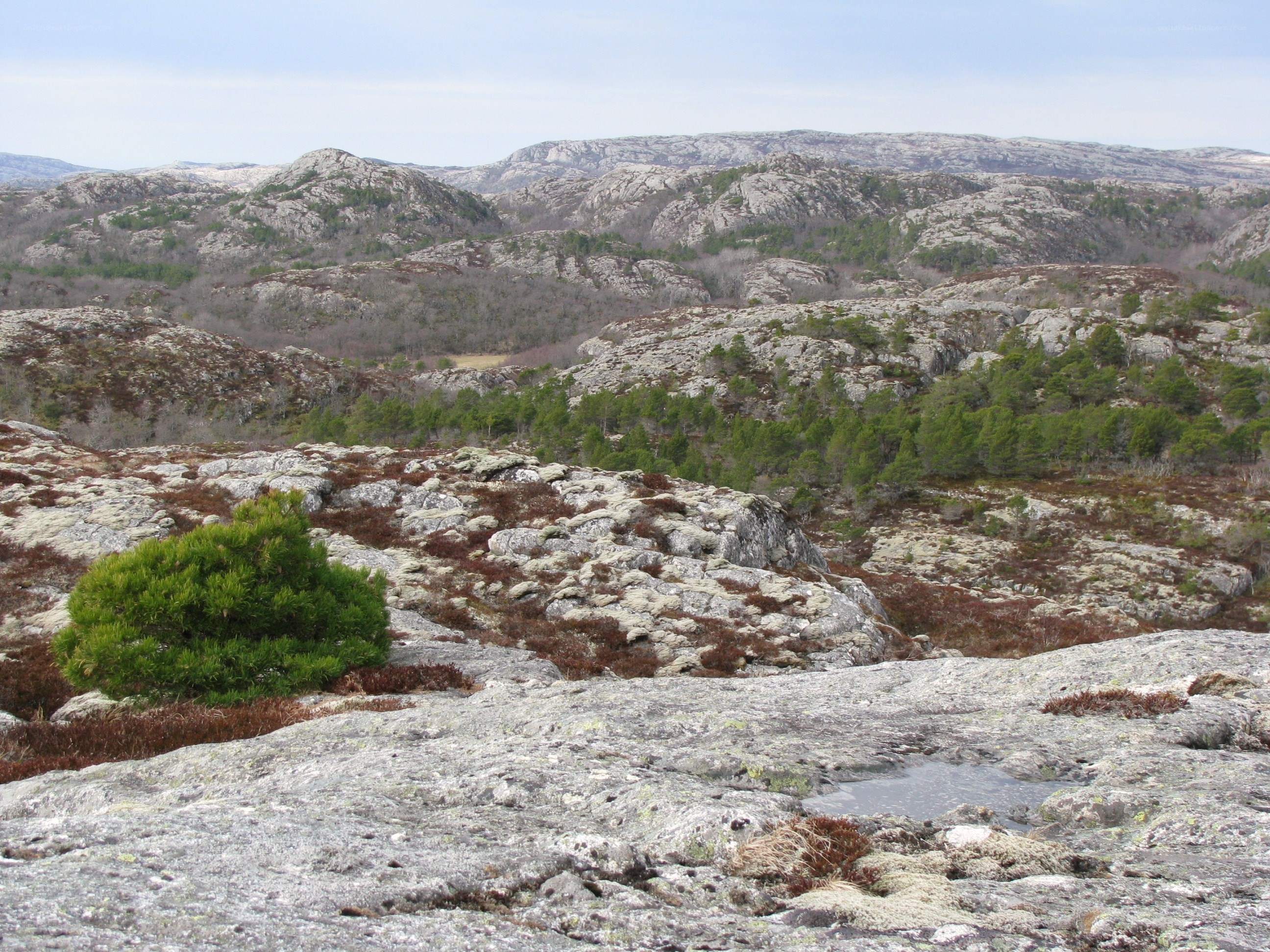 rocky hills with sparse vegetation