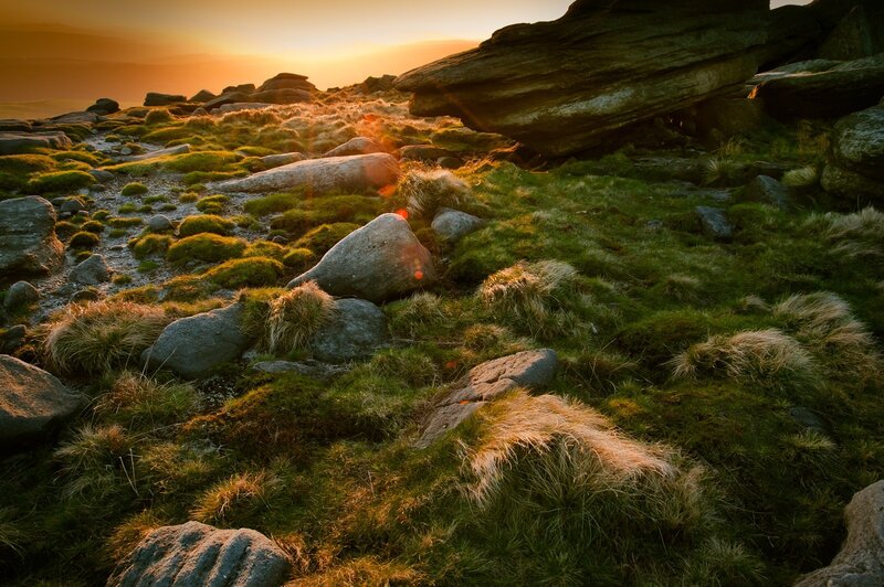 Rocky Hillside at Sunset — Green, Serene