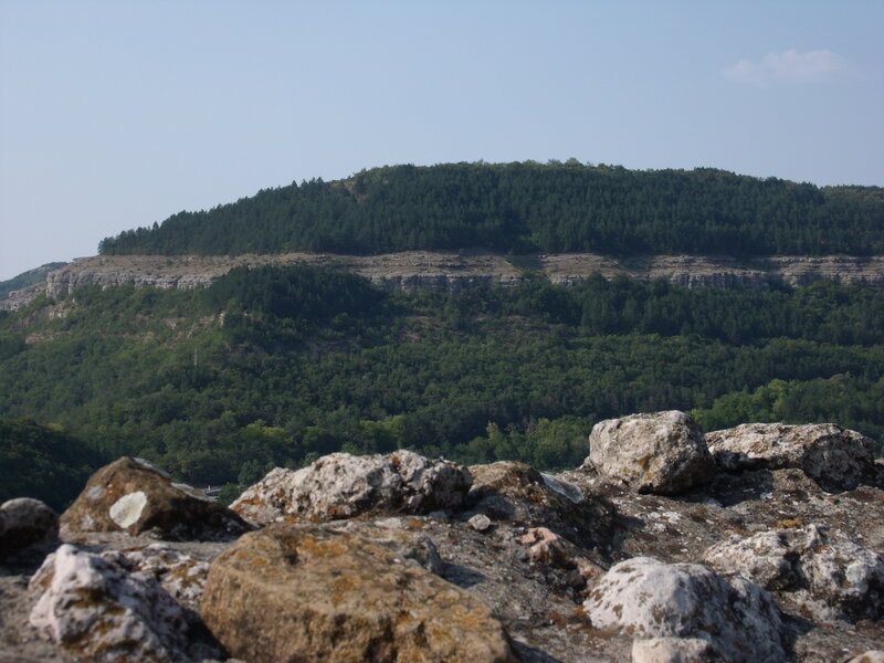 Rocky Hillside with Forest