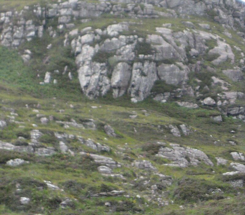 Rocky Hillside with Grass — Green
