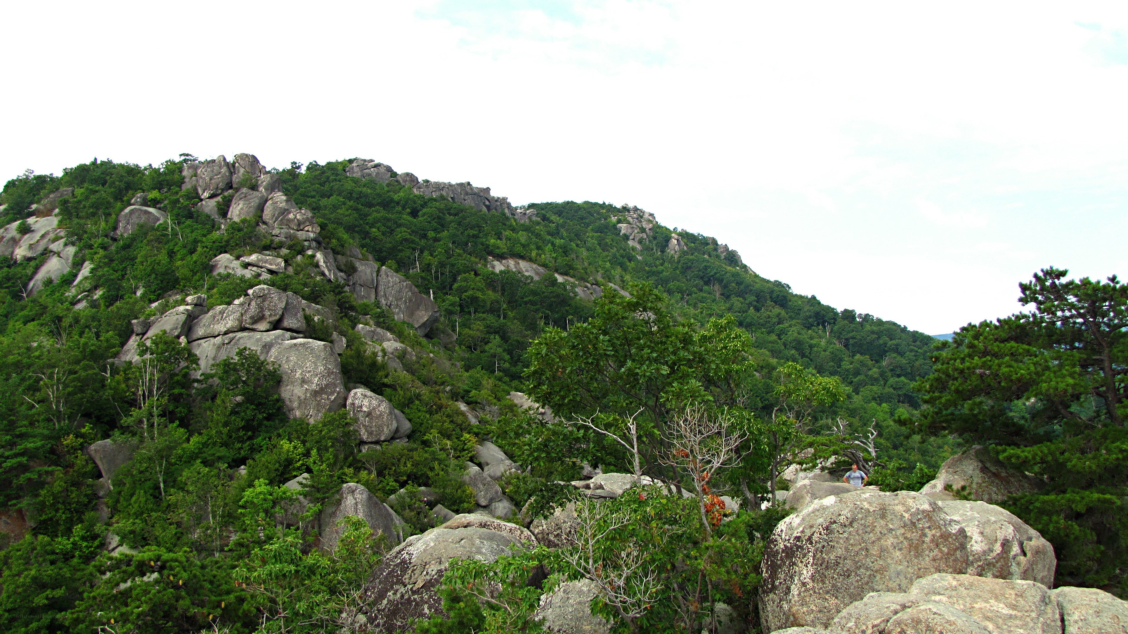 Rocky hillside with green trees