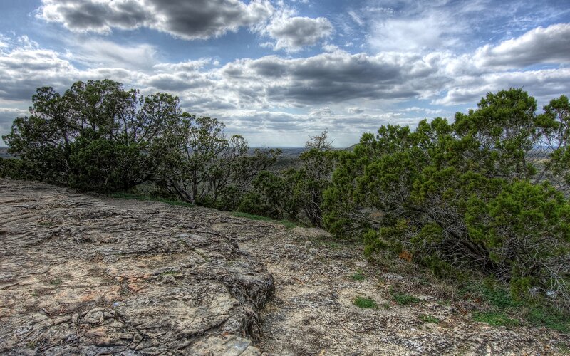 Rocky Hillside with Shrubs