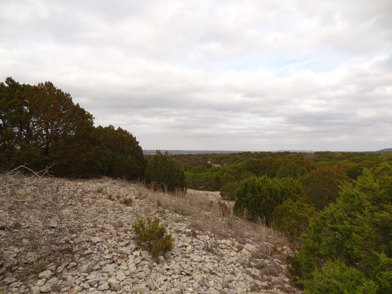 Rocky Hillside with Trees — Green, Overcast