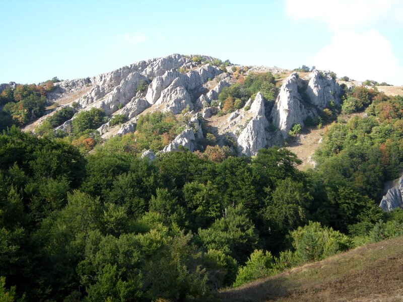 Rocky Hillside with Trees — Green, Serene, Autumn