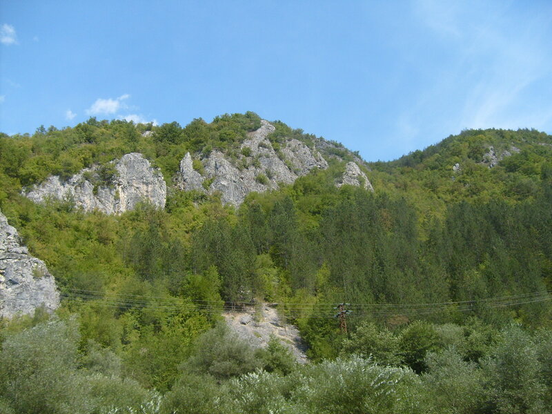 Rocky Hillside with Trees — Green, Serene