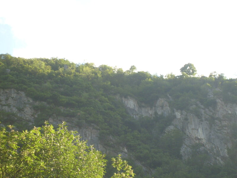 Rocky Hillside with Trees — Green