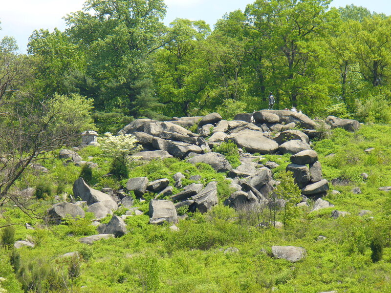 rocky hillside with trees