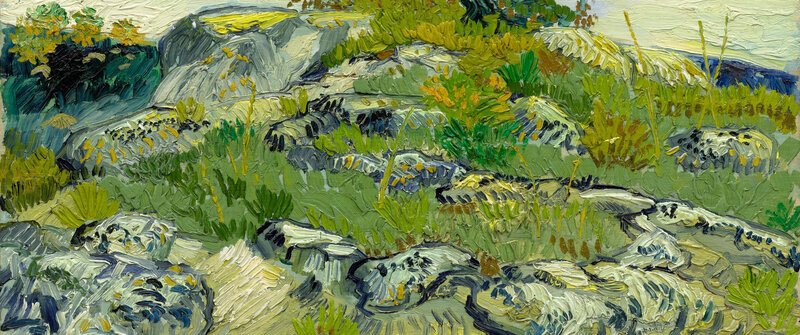 Rocky Hillside with Vegetation