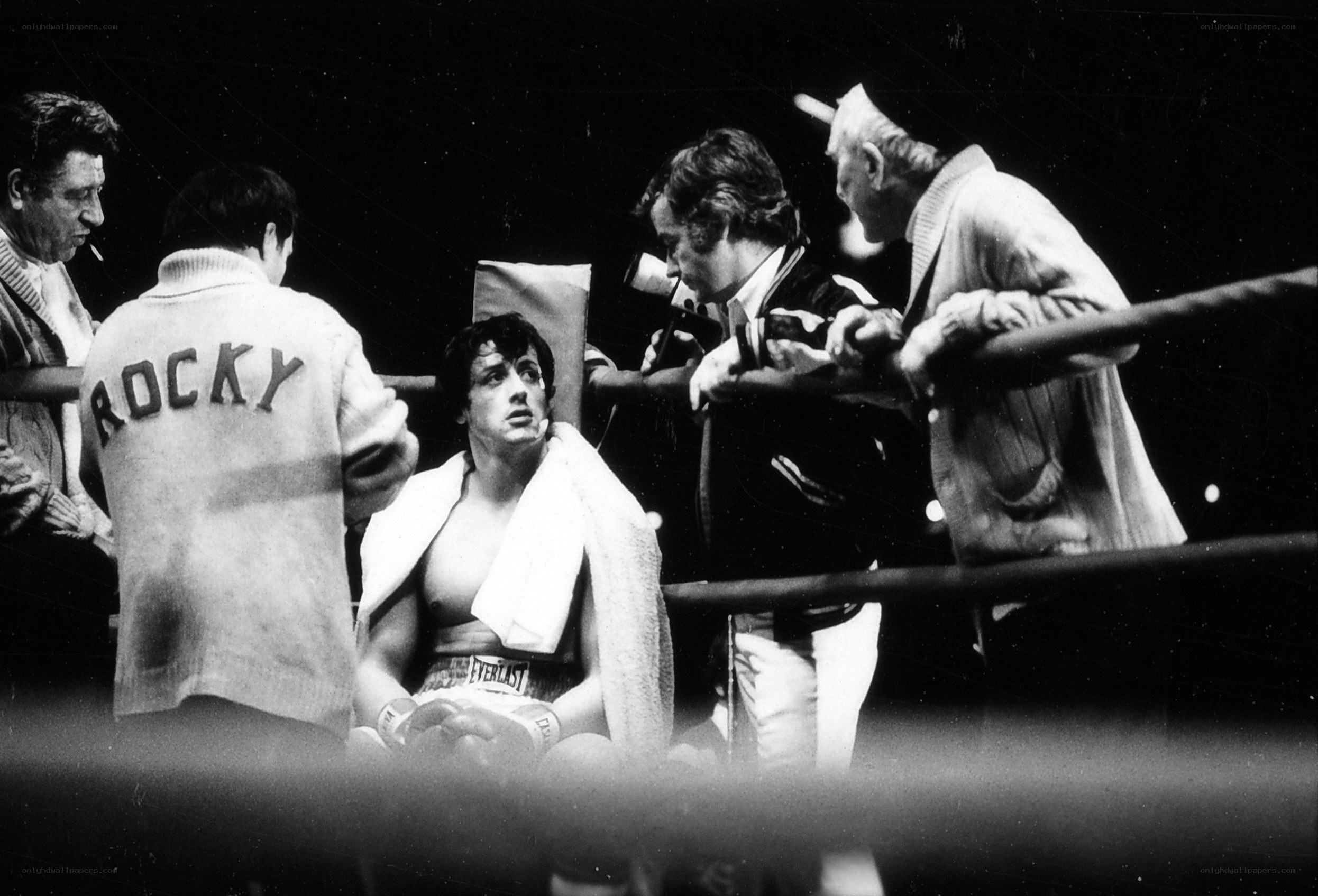 Rocky in the boxing ring