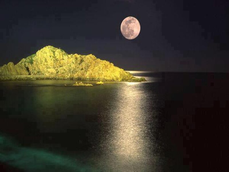 Rocky Island at Night — Black