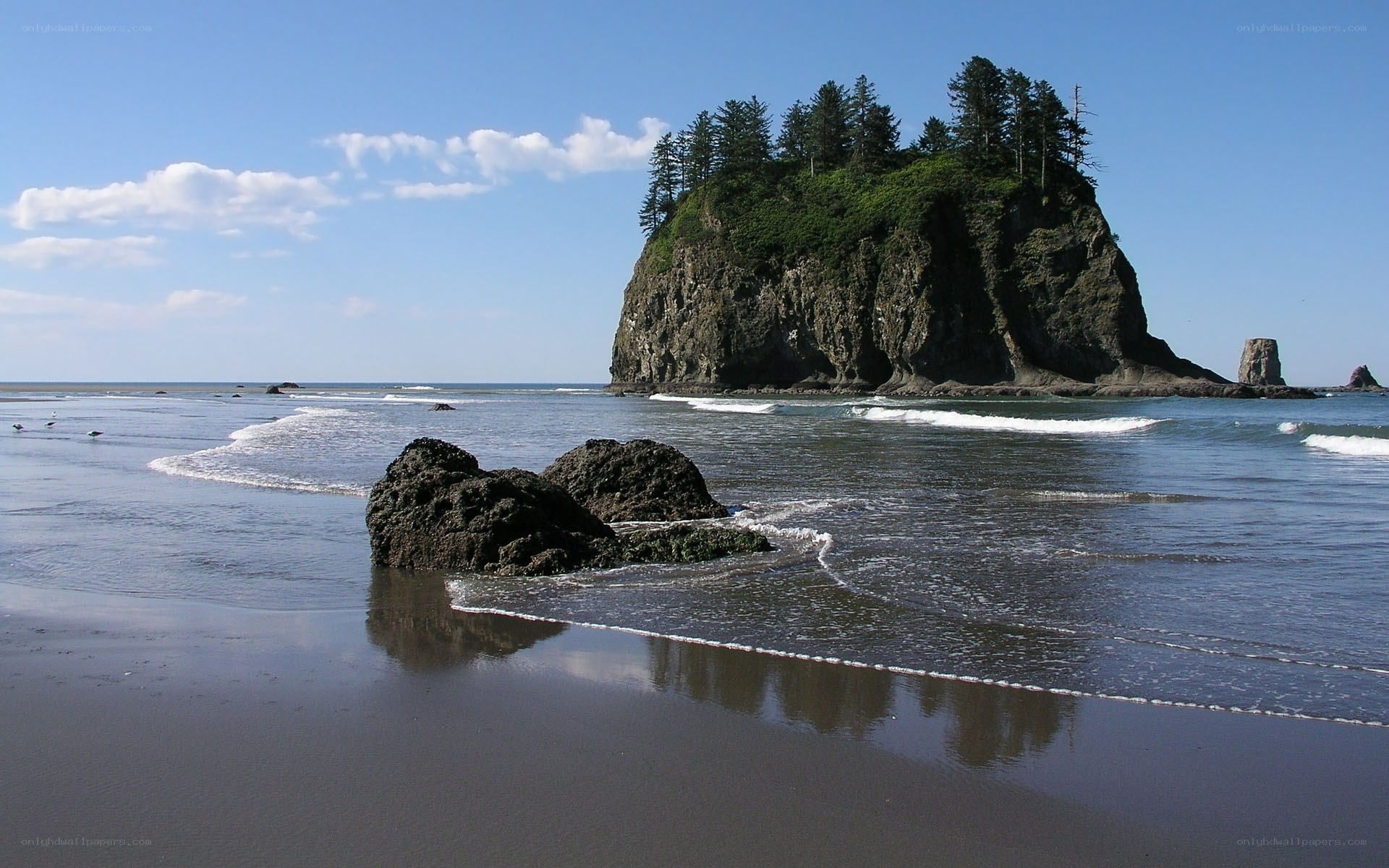 Rocky island at the beach