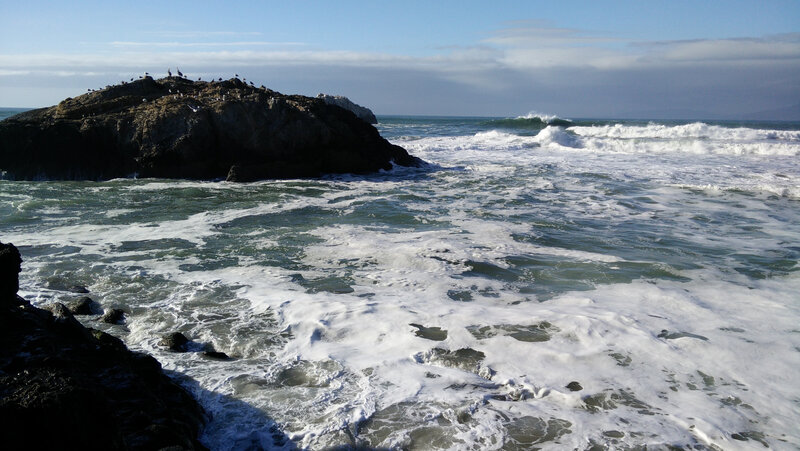Rocky Island with Birds