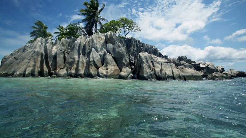 Rocky Island with Palm Trees — Blue