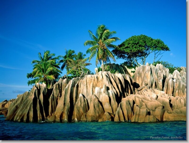 Rocky Island with Palm Trees