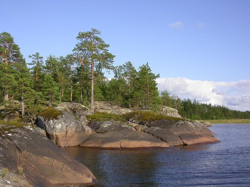 Rocky island with pine trees