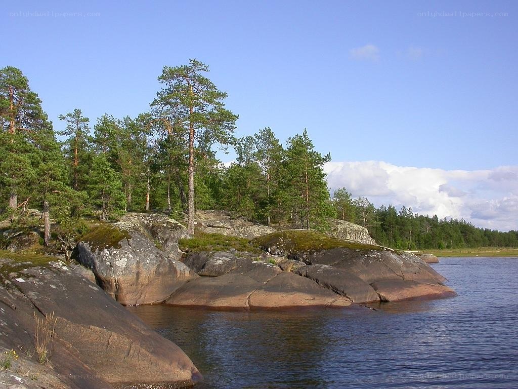 Rocky island with pine trees
