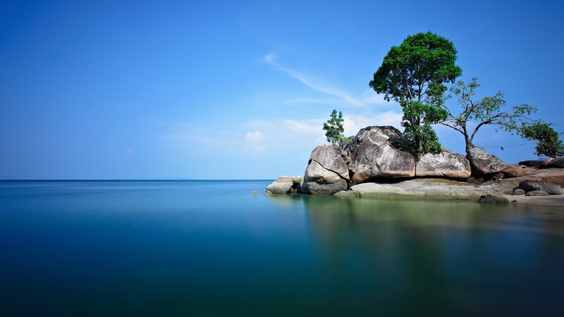 Rocky island with tree by the sea
