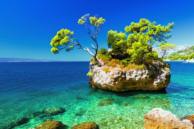 Rocky Island with Trees — Blue, Serene, Afternoon, Photograph, Sea, Sky