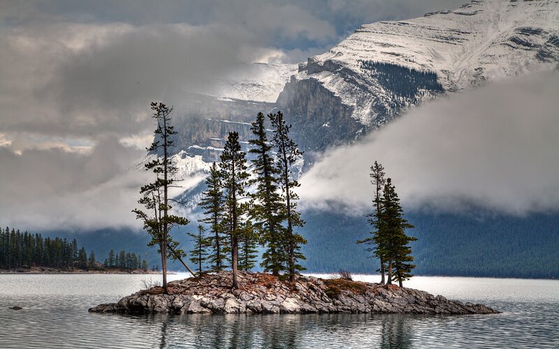 Rocky Island with Trees — Gray, Dramatic