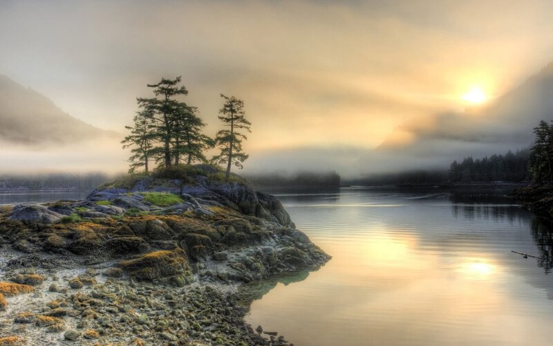 Rocky Island with Trees — Gray