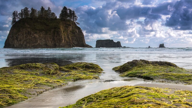 Rocky Island with Trees — Green, Dramatic