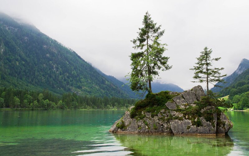 Rocky Island with Trees — Green, Serene