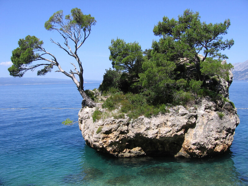 Rocky Island with Trees
