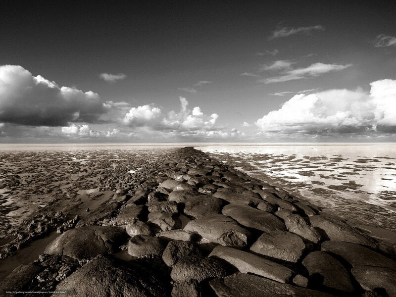 Rocky Jetty at Low Tide