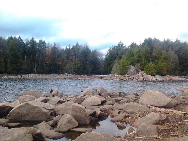Rocky Lake Shore — Gray