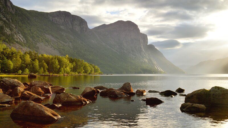 Rocky Lake Shore — Green