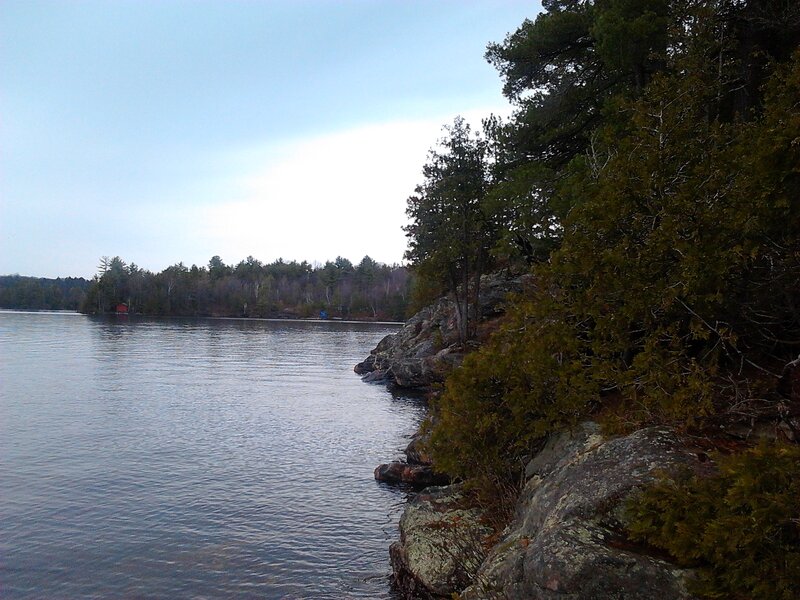 Rocky Lakeshore with Trees