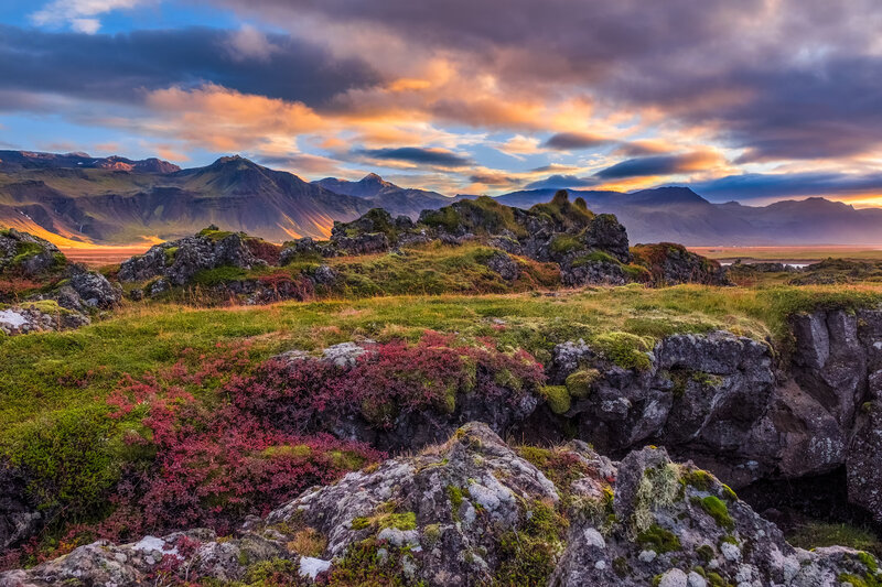 Rocky Landscape with Flowers