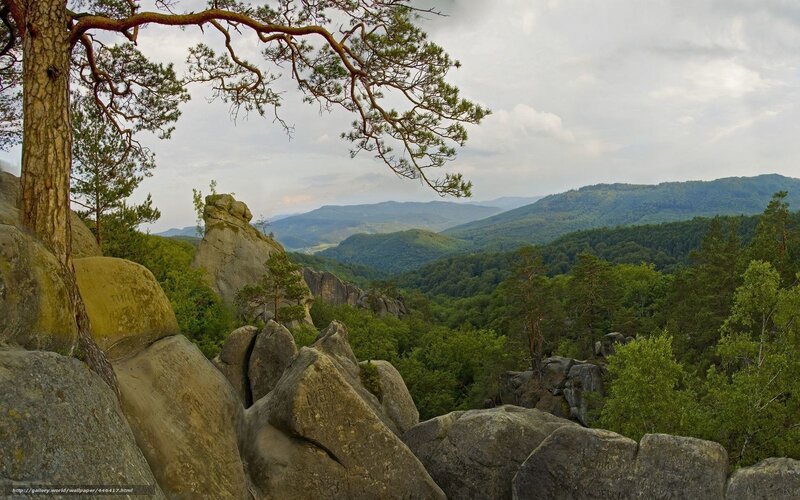 Rocky landscape with forest view