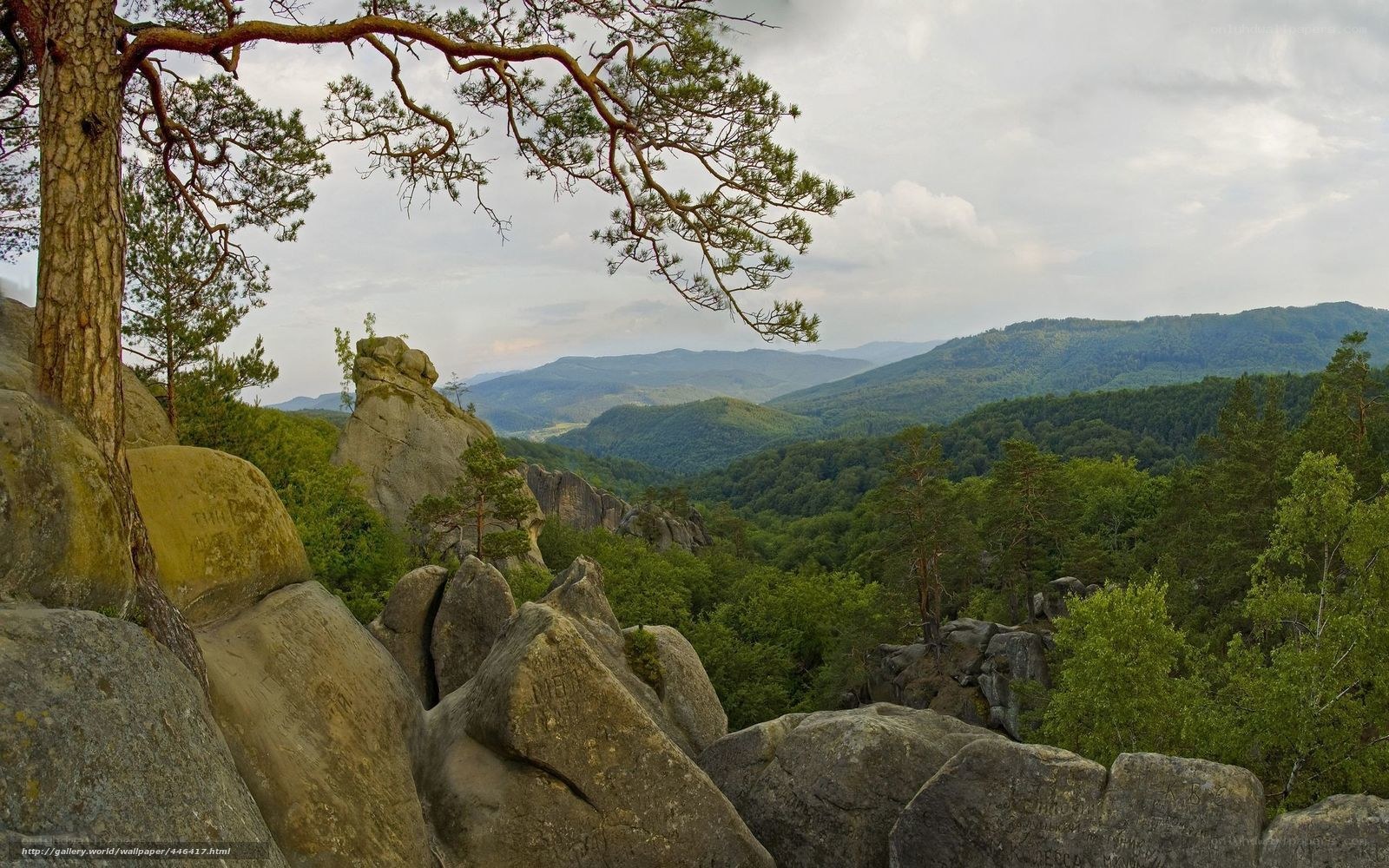 Rocky landscape with forest view