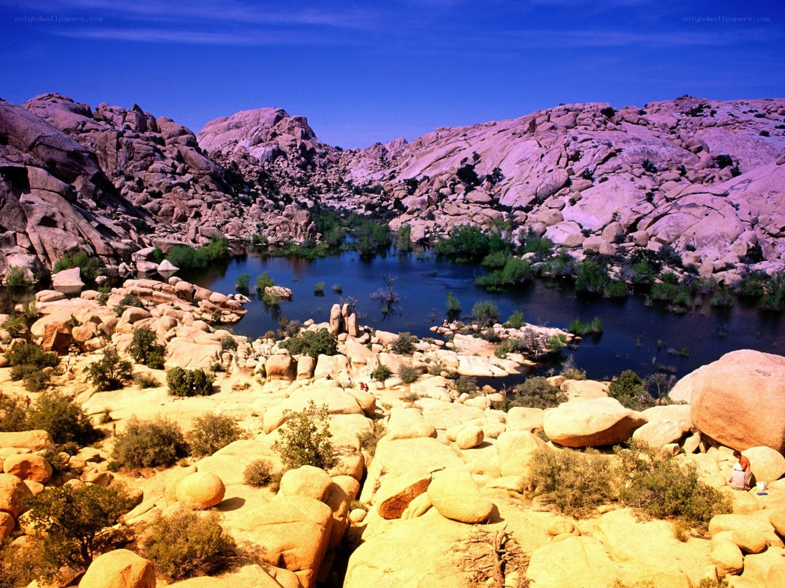 Rocky landscape with lake