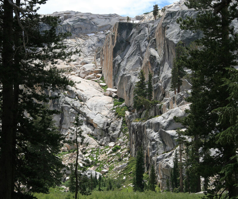 Rocky mountain canyon with trees