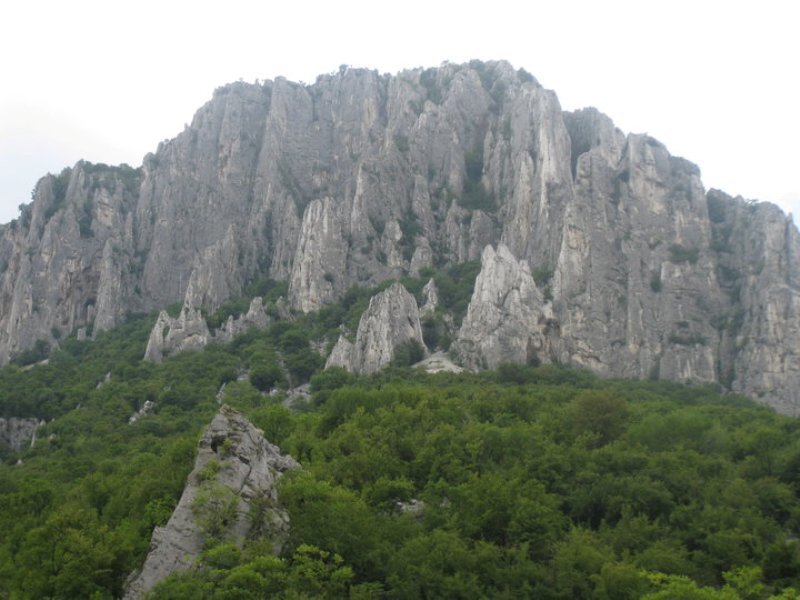 Rocky Mountain Cliff — Green
