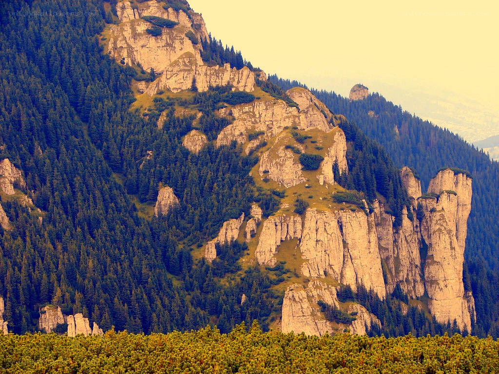 Rocky mountain cliffs with forest