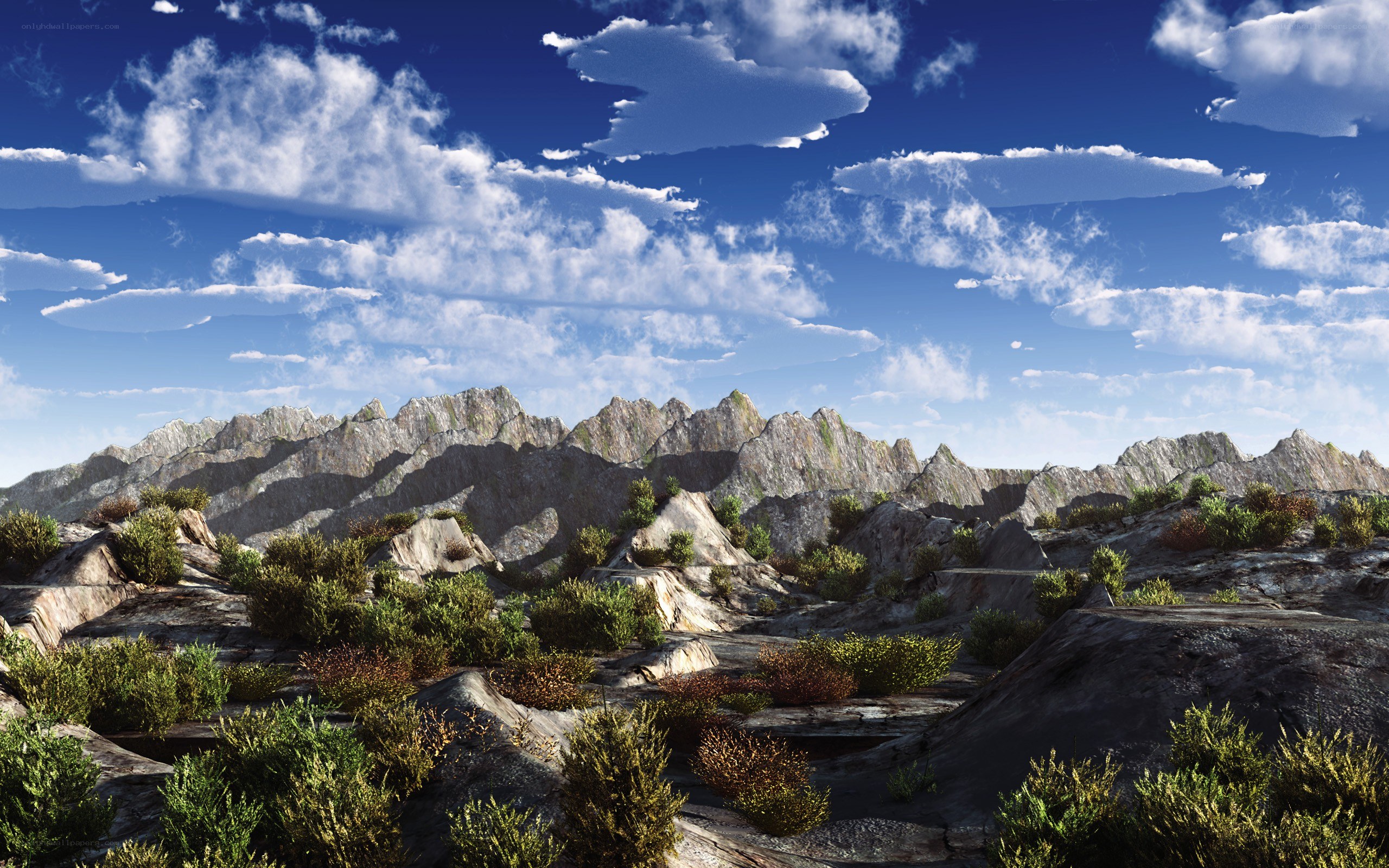 rocky mountain landscape