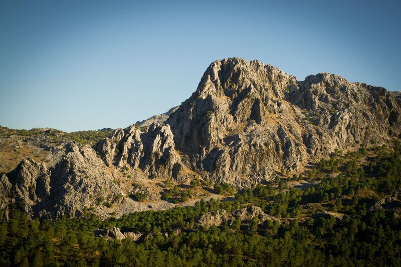 Rocky Mountain Peak — Blue, Serene, Afternoon, Photograph, Trees, Sky, Rocks