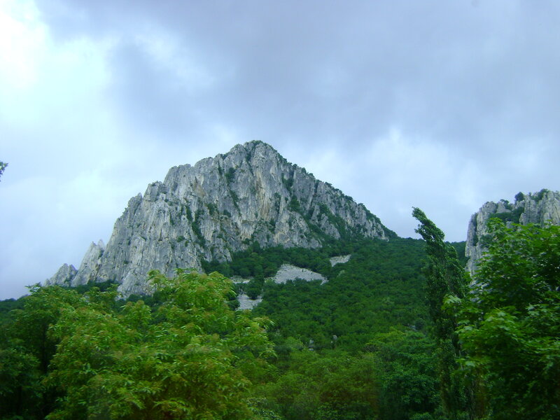 Rocky Mountain Peak — Green, Overcast, Photograph, Trees