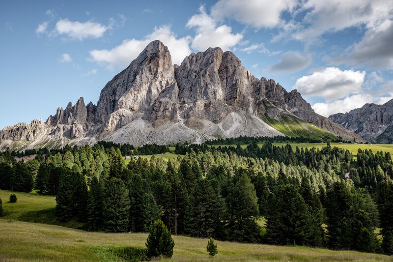 Rocky Mountain Peak — Green, Serene, Afternoon, Photograph, Forest, Meadow
