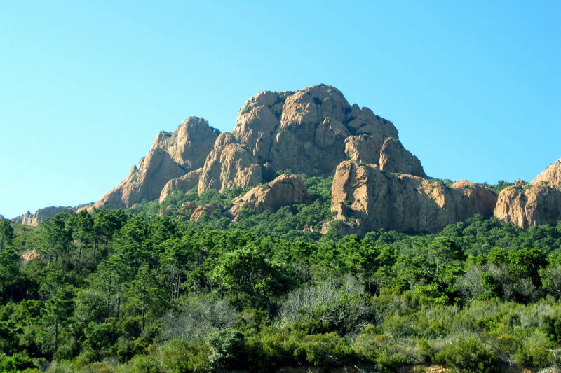 Rocky Mountain Peak — Green, Serene, Afternoon, Photograph, Trees, Forest