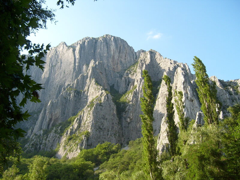 Rocky Mountain Peak — Green, Serene, Afternoon, Photograph, Trees, Sky