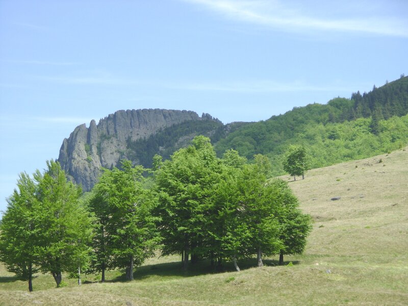 Rocky Mountain Peak — Green, Serene